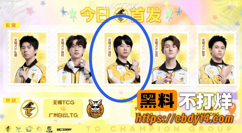 王者荣耀职业选手 无锡TCG语钦 15