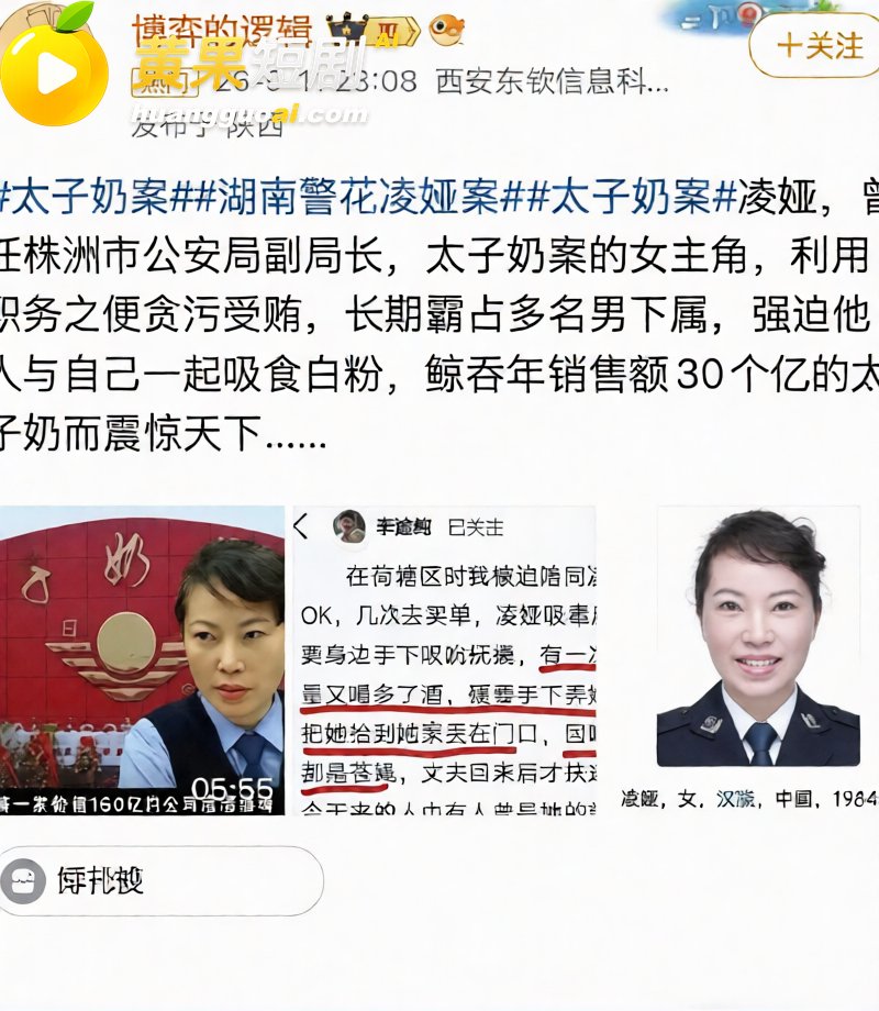 湖南株洲公安局长凌娅 2
