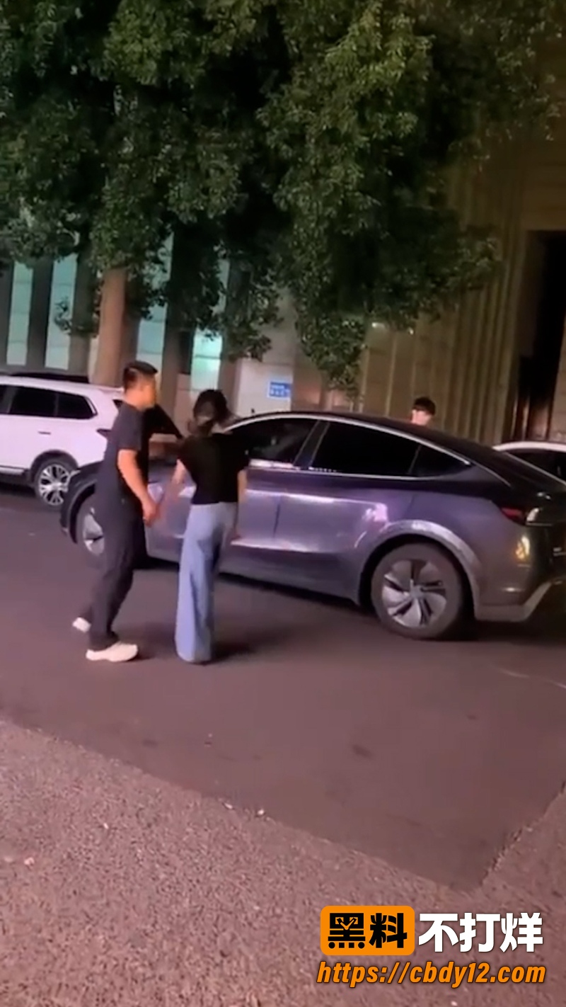 特斯拉车主老婆 深夜 15