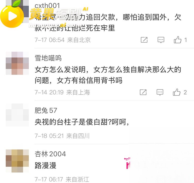 央视一姐 董卿 隐秘 25