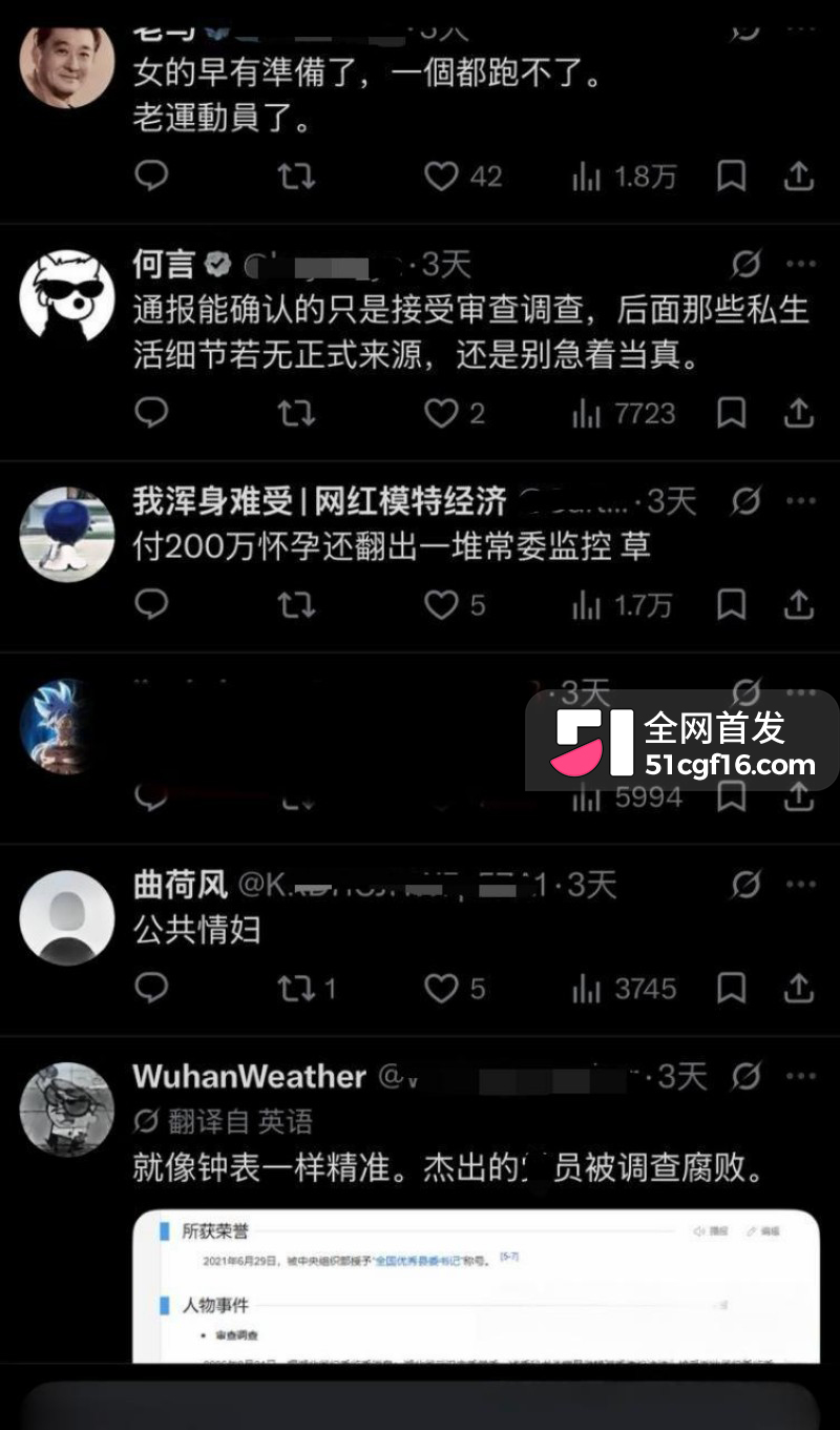 武汉市委秘书长 曾晟 11