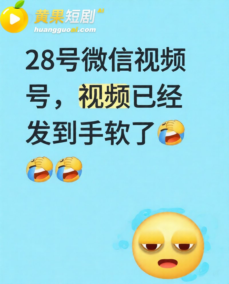 微信视频号8月28事 4