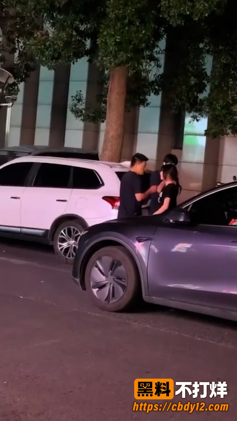 特斯拉车主老婆 深夜 13
