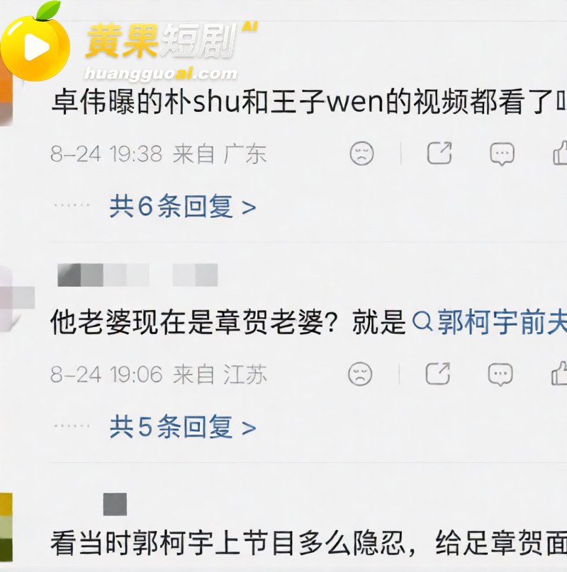 歌手朴树出轨演员王子 19
