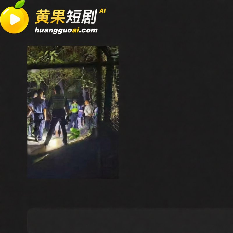 广东 深圳龙岗雅宝公 8