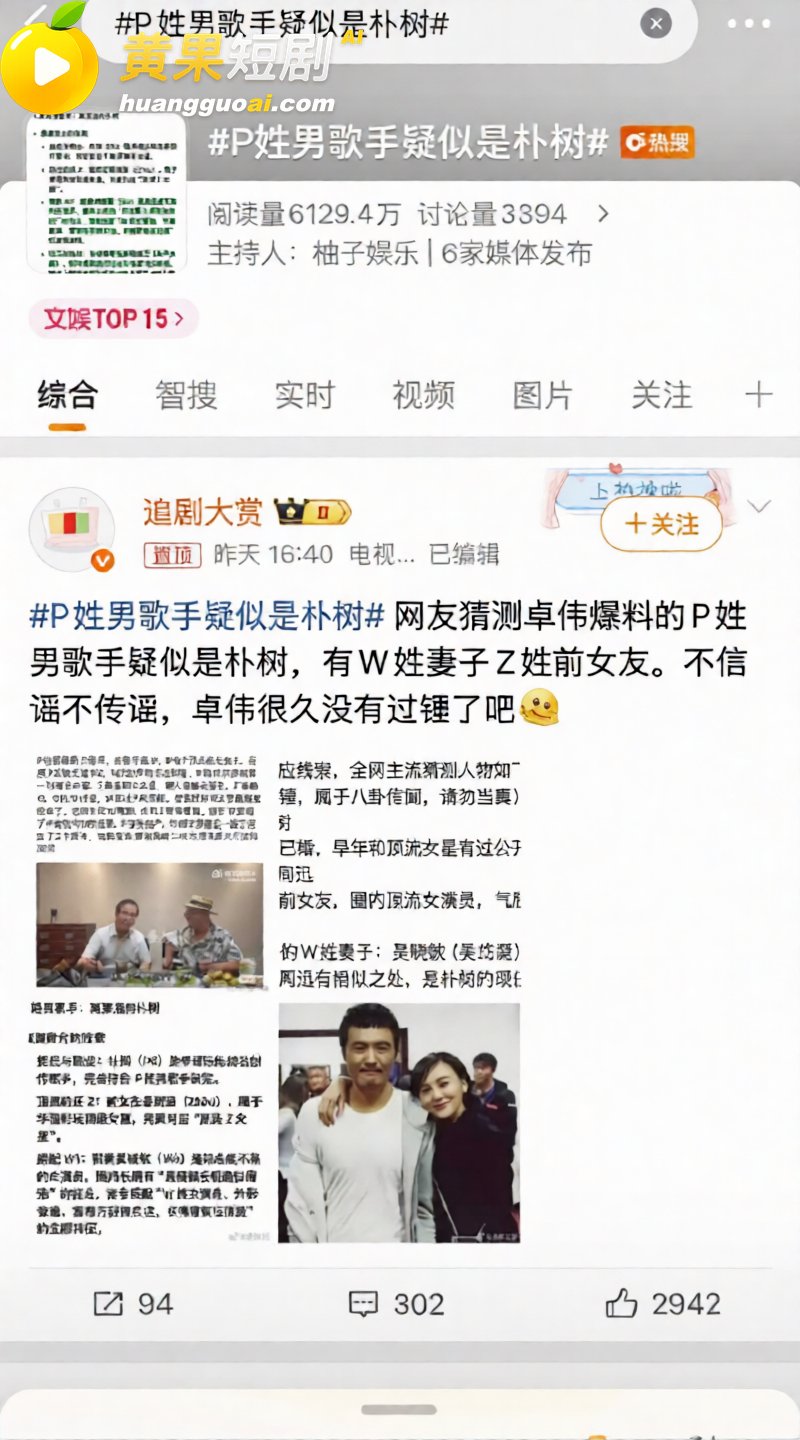 歌手朴树出轨演员王子 11