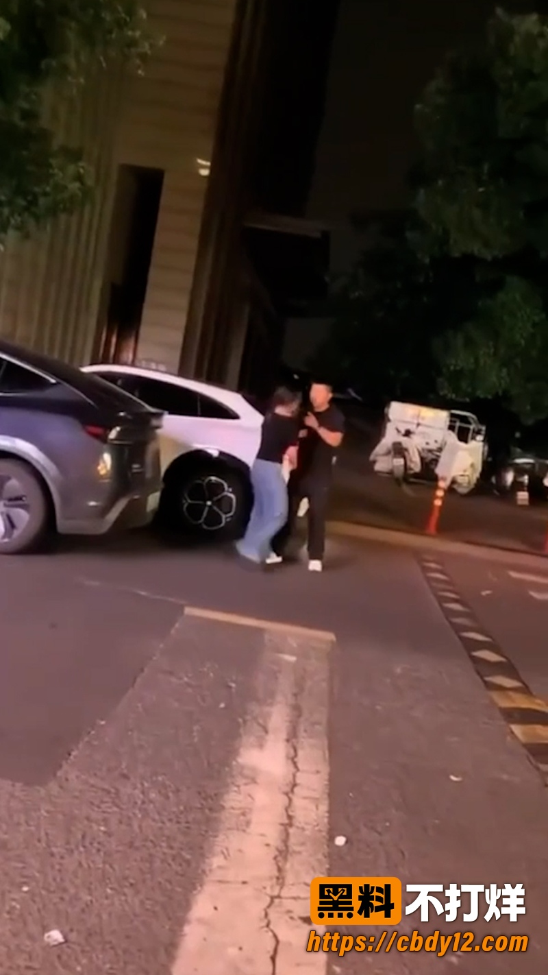 特斯拉车主老婆 深夜 2