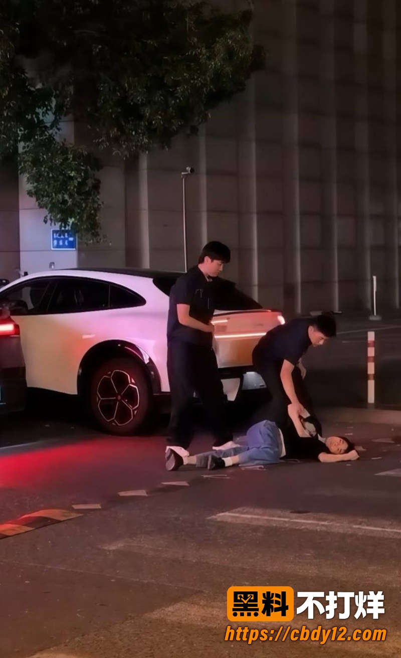 特斯拉车主老婆 深夜 5