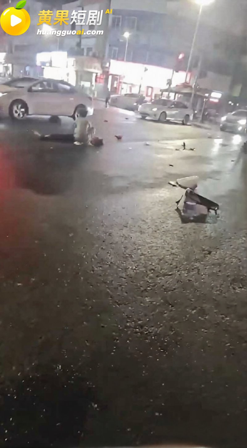 精神小伙雨夜飙车酿严 6