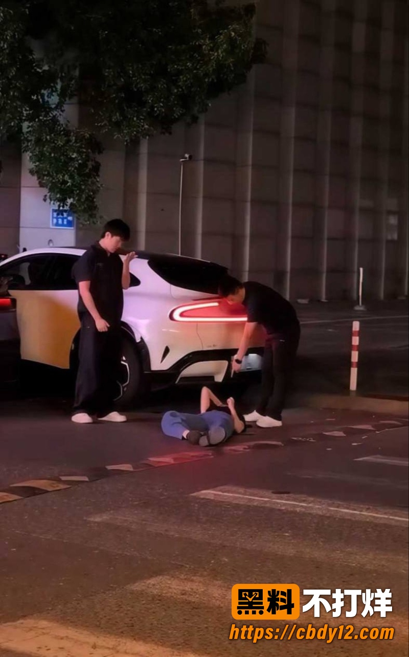 特斯拉车主老婆 深夜 4