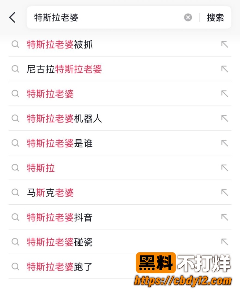 特斯拉车主老婆 深夜 8