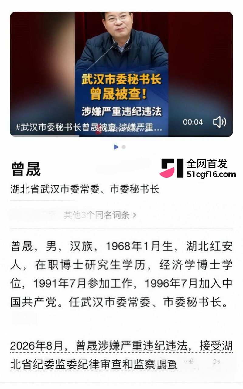 武汉市委秘书长 曾晟 2