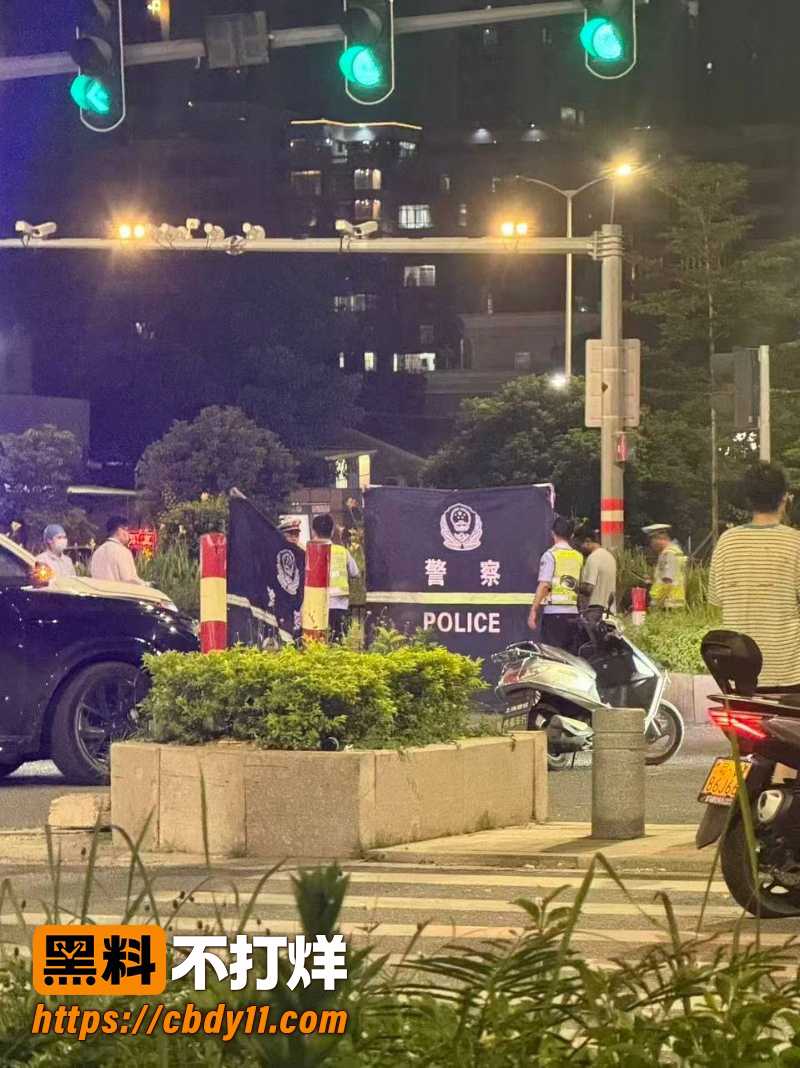 广东揭阳阳美保利一期 10