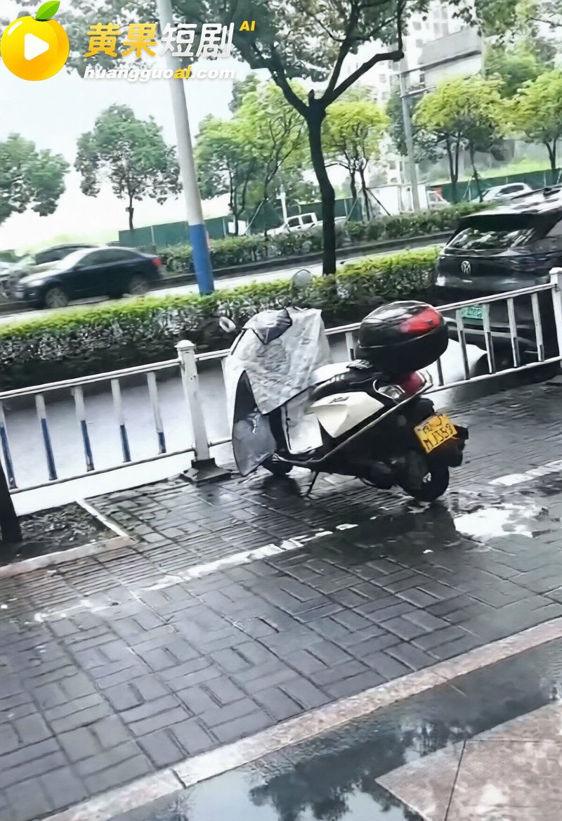 福建宁德突发疯牛狂奔 5