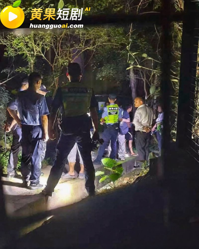 广东 深圳龙岗雅宝公 5