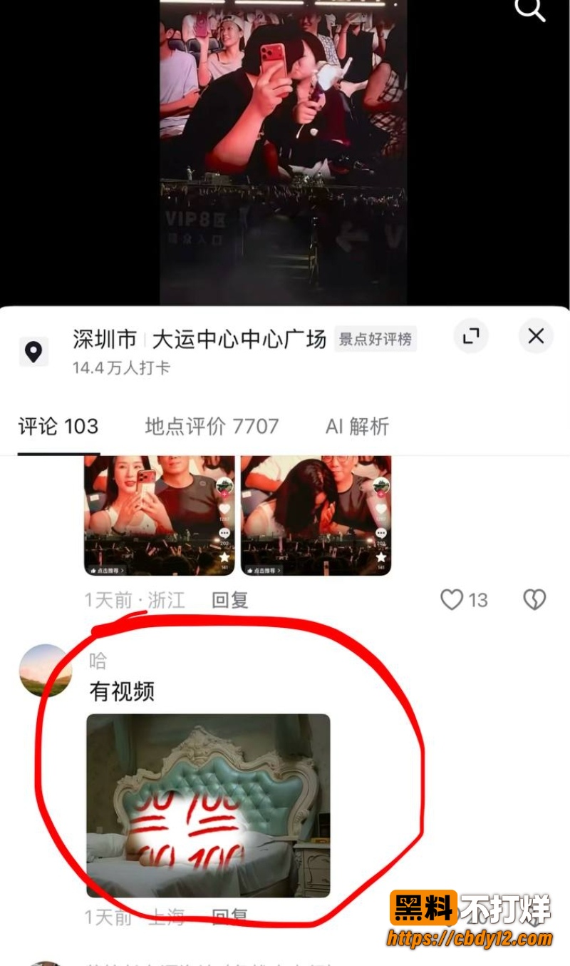 邓紫棋深圳演唱会情侣 21