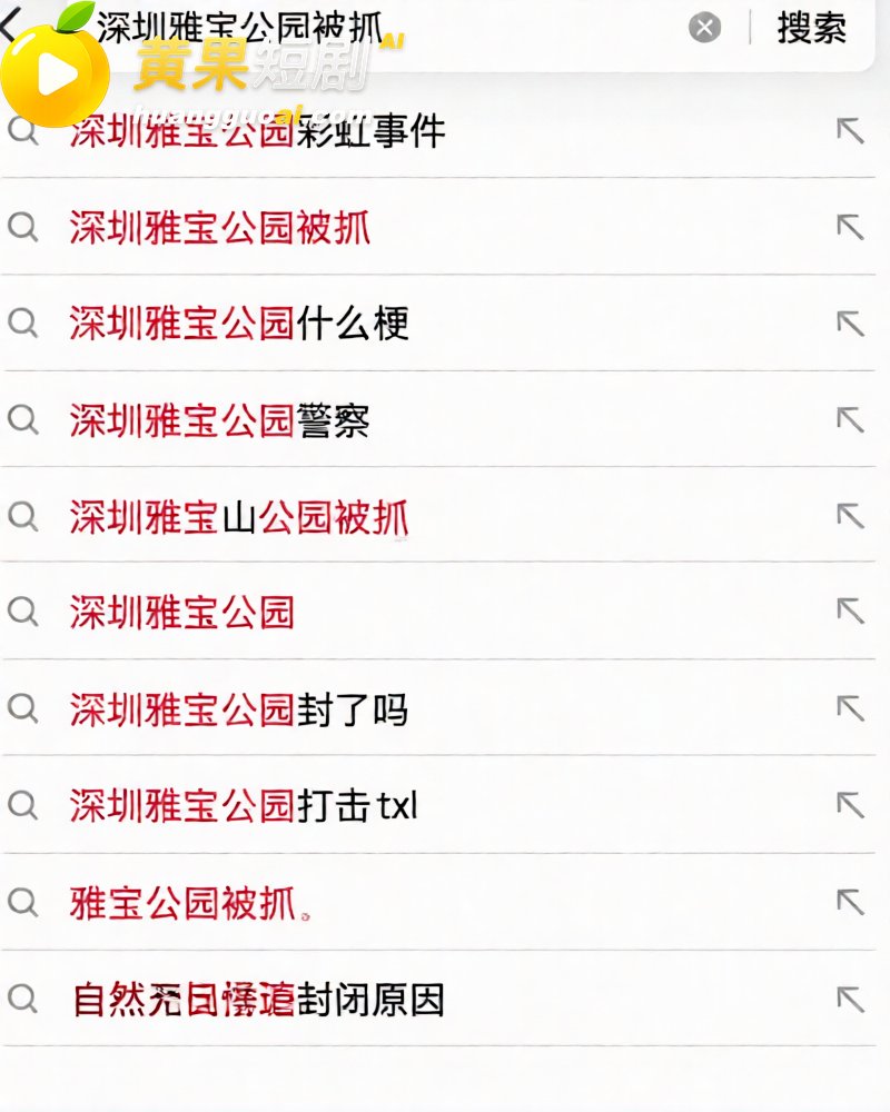 广东 深圳龙岗雅宝公 9
