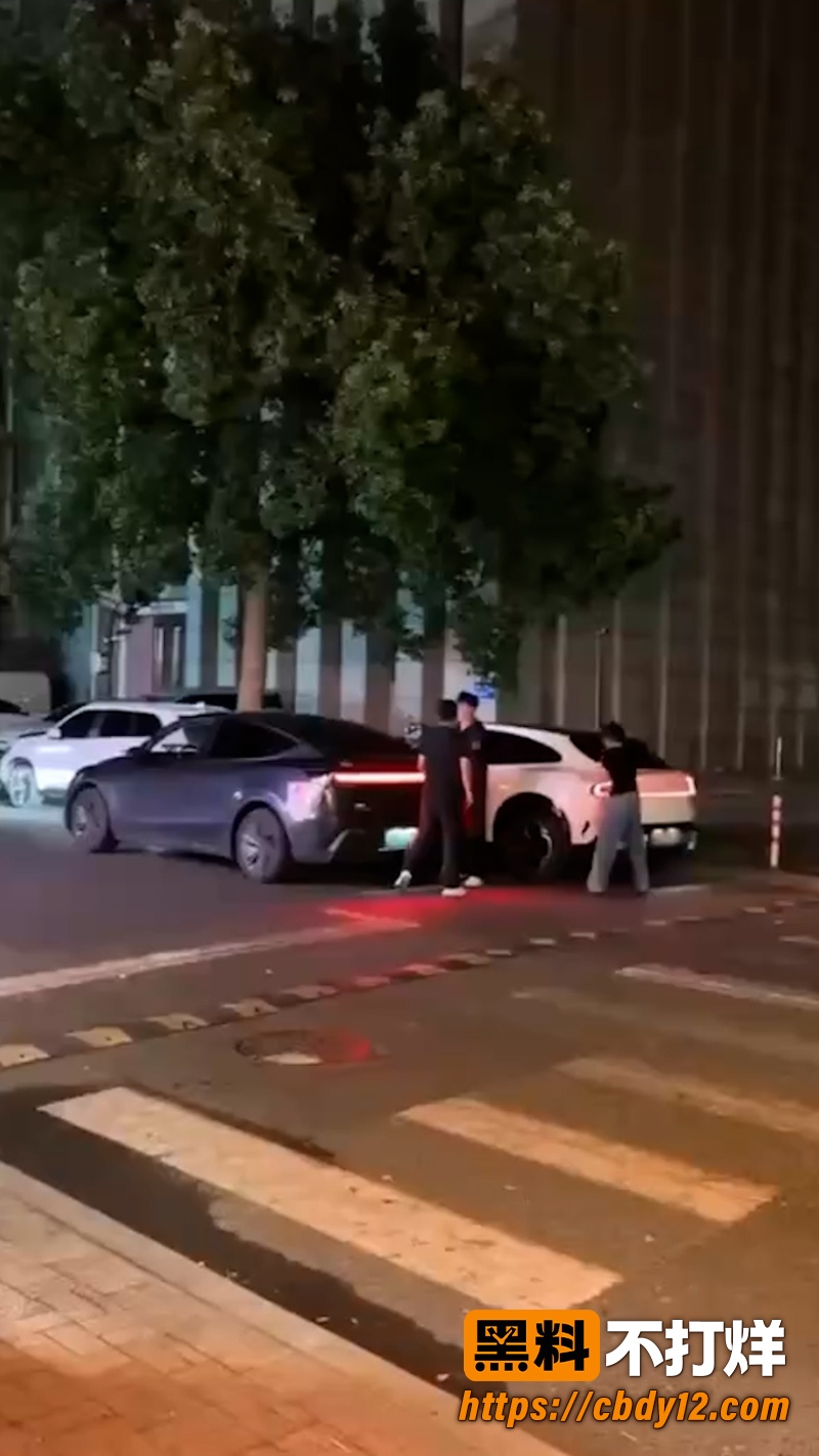 特斯拉车主老婆 深夜 9