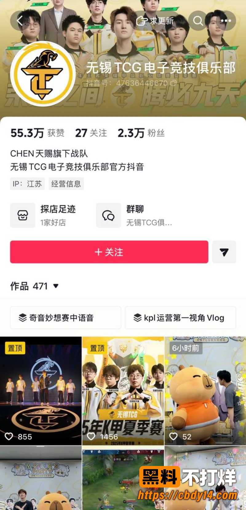 王者荣耀职业选手 无锡TCG语钦 27