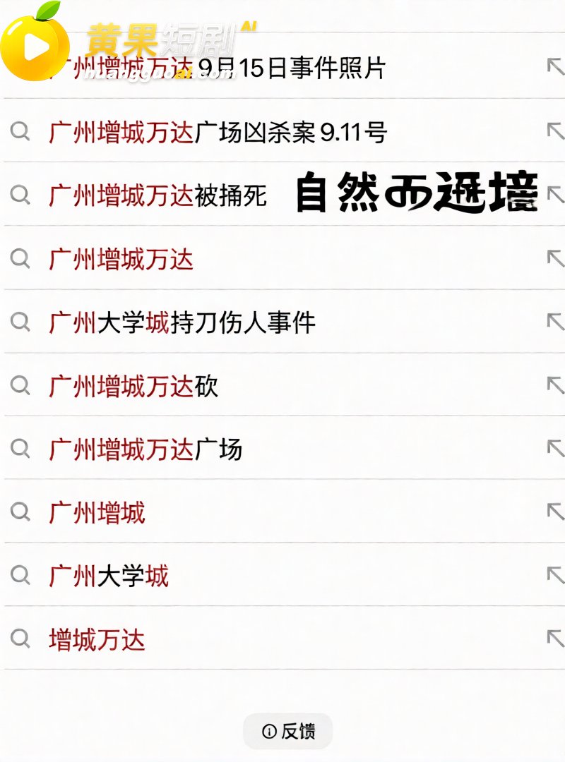 广州增城万达突传砍人 10