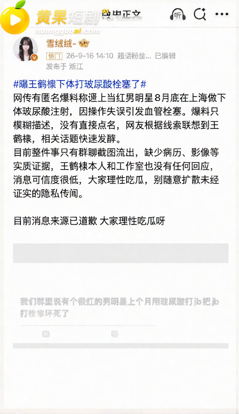 顶流男星 王鹤棣 上 11