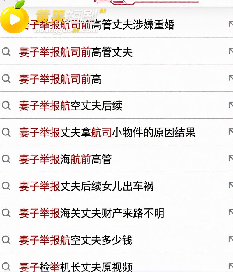 航司前高管 刘涛 重 15