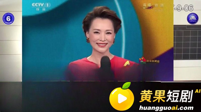 央视一姐 董卿 隐秘 18