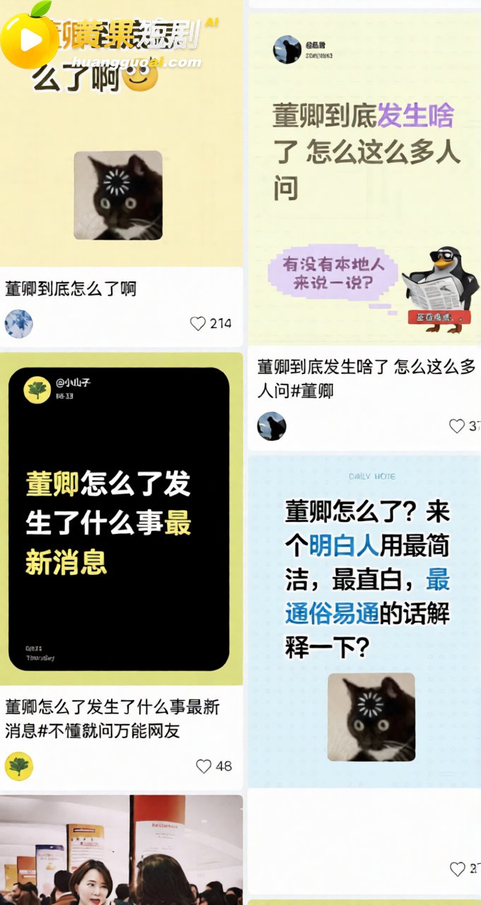 董卿三分钟视频 疑似 11