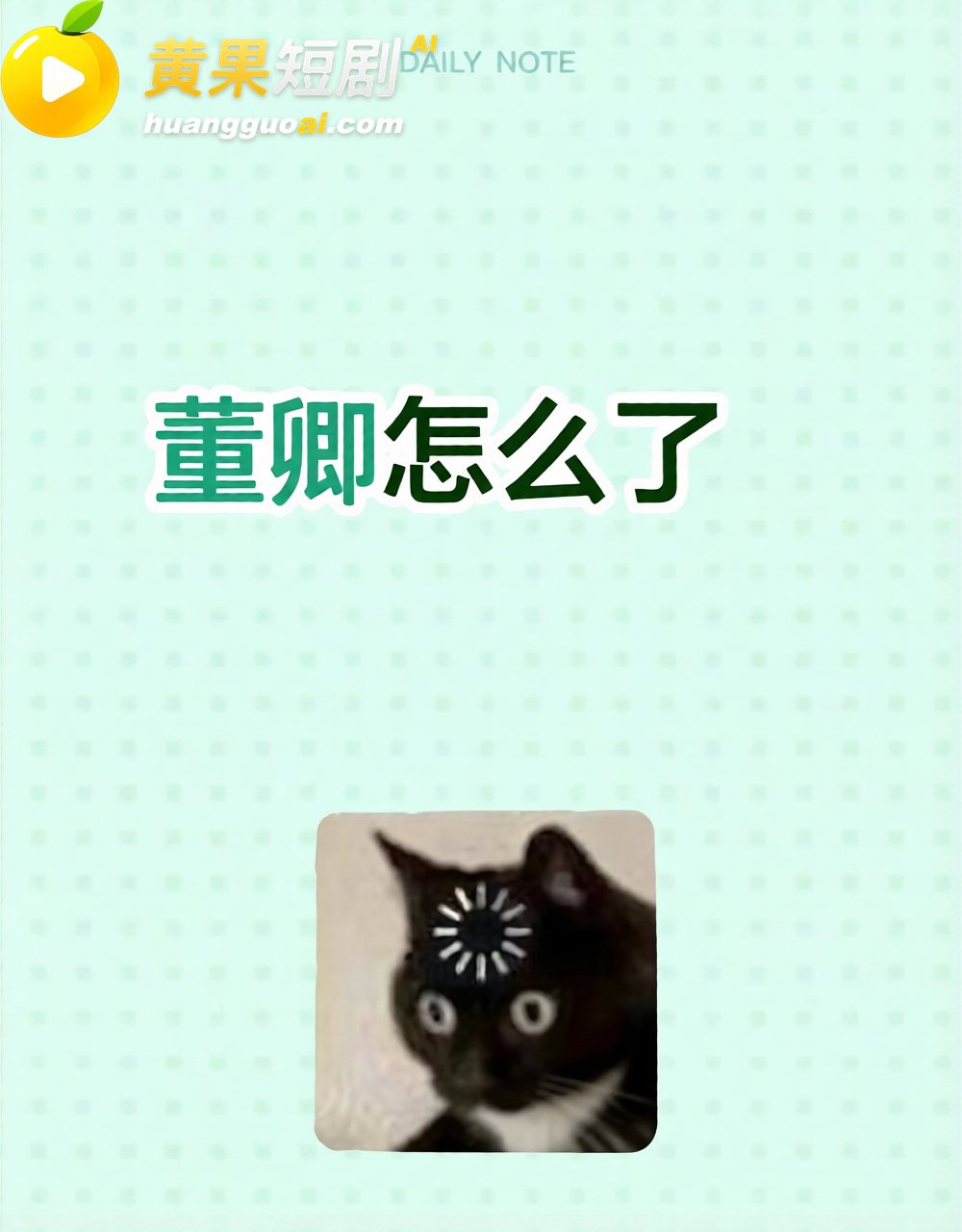 董卿三分钟视频 疑似 14