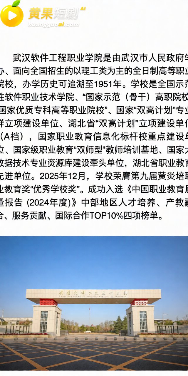 武汉软件工程技术学院 12