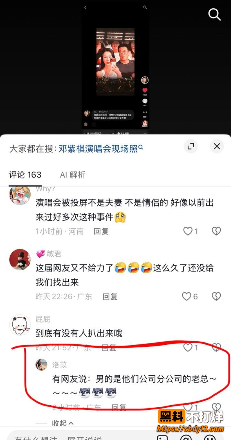 邓紫棋深圳演唱会情侣 14