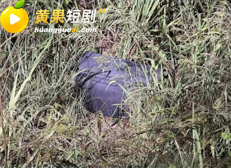 46岁澳洲男子残杀泰 18
