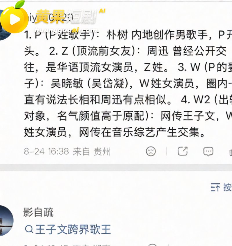 歌手朴树出轨演员王子 16