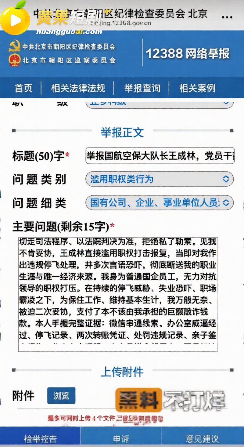 国航空保三大队长王成 12