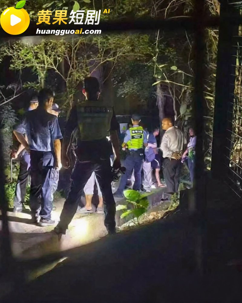 广东 深圳龙岗雅宝公 6