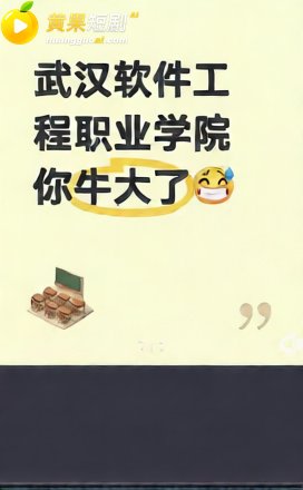 武汉软件工程技术学院 9