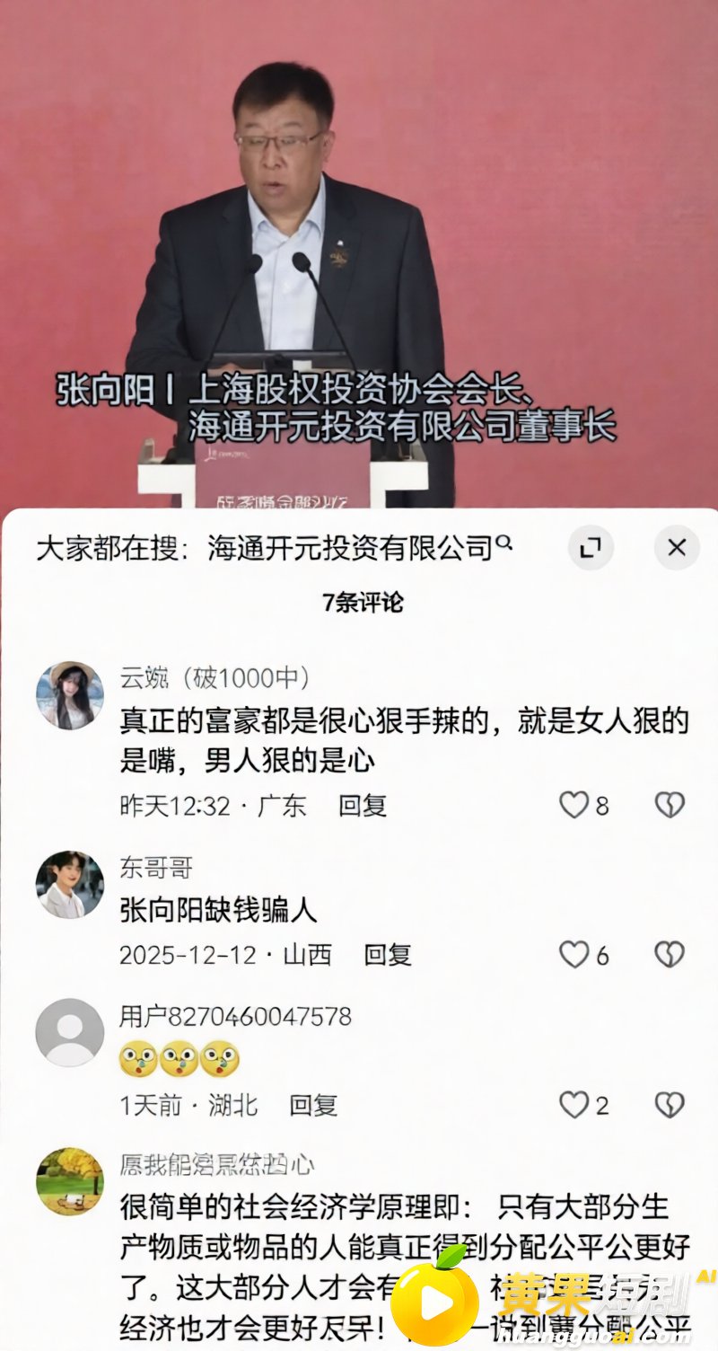 海通开元董事长张向阳 22